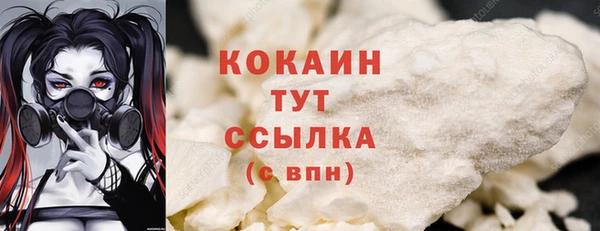альфа пвп Елизово