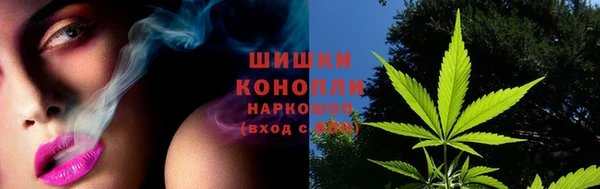 альфа пвп Елизово
