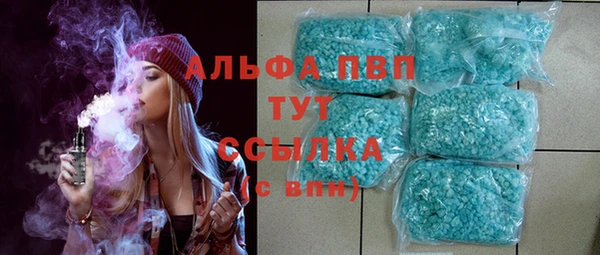 мяу мяу мука Дмитриев