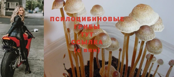 a pvp Елабуга