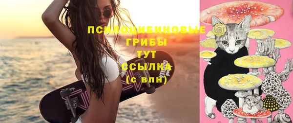 амфетамин Ельня